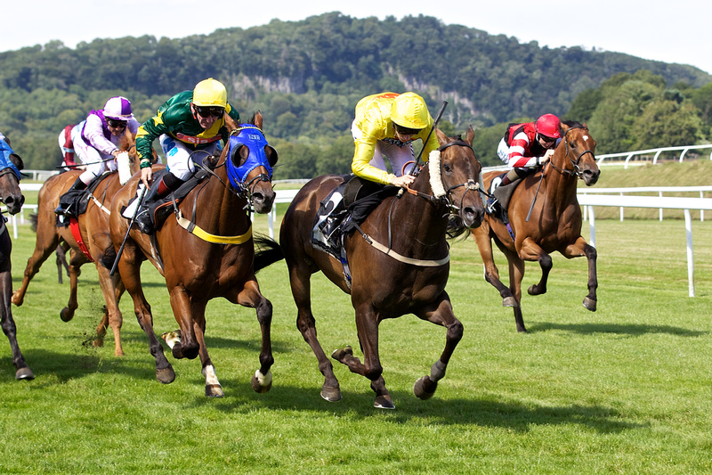 Chepstow Racecourse Photographs